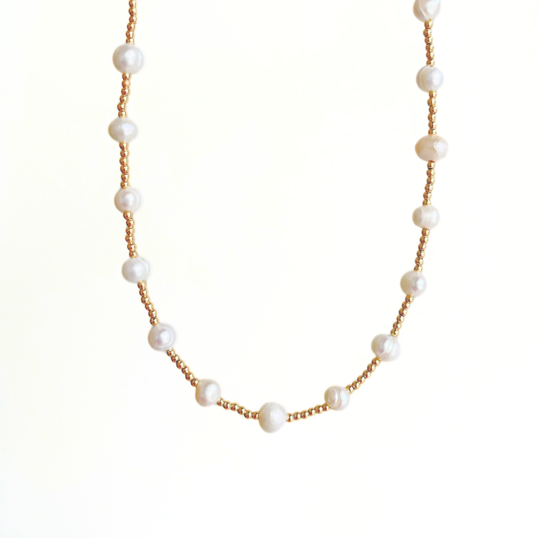 COLLAR DAKOTA