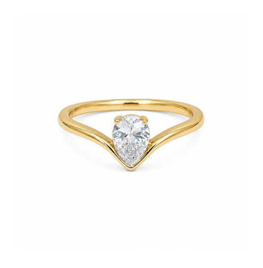 ANILLO PICO Y GOTA CZ