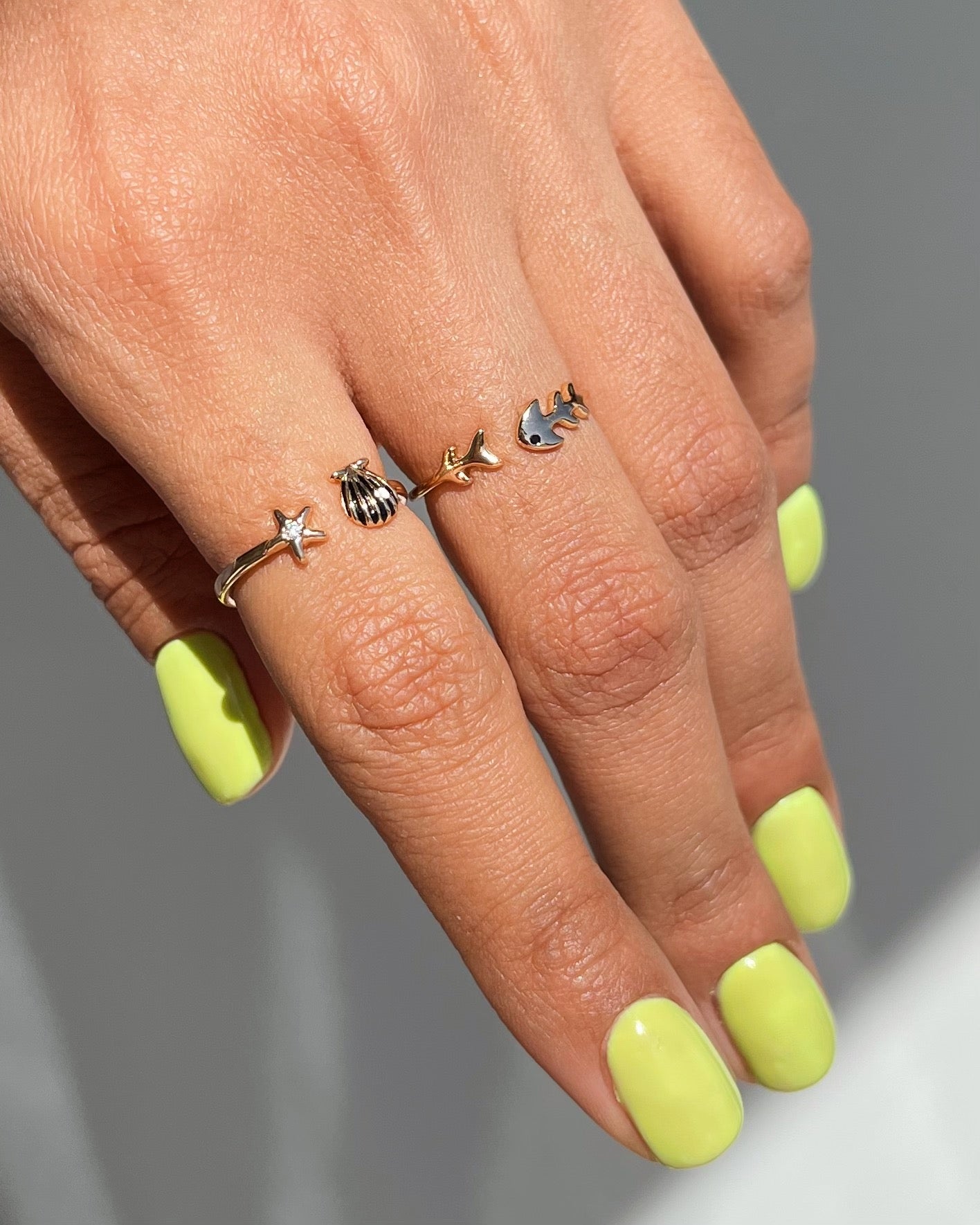 ANILLOS SEA