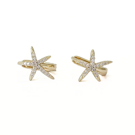 ARETE STELLA