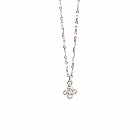 COLLAR TINY