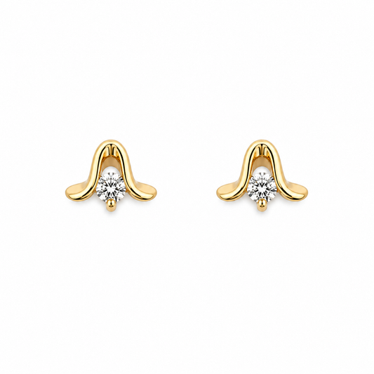 ARETE NANI